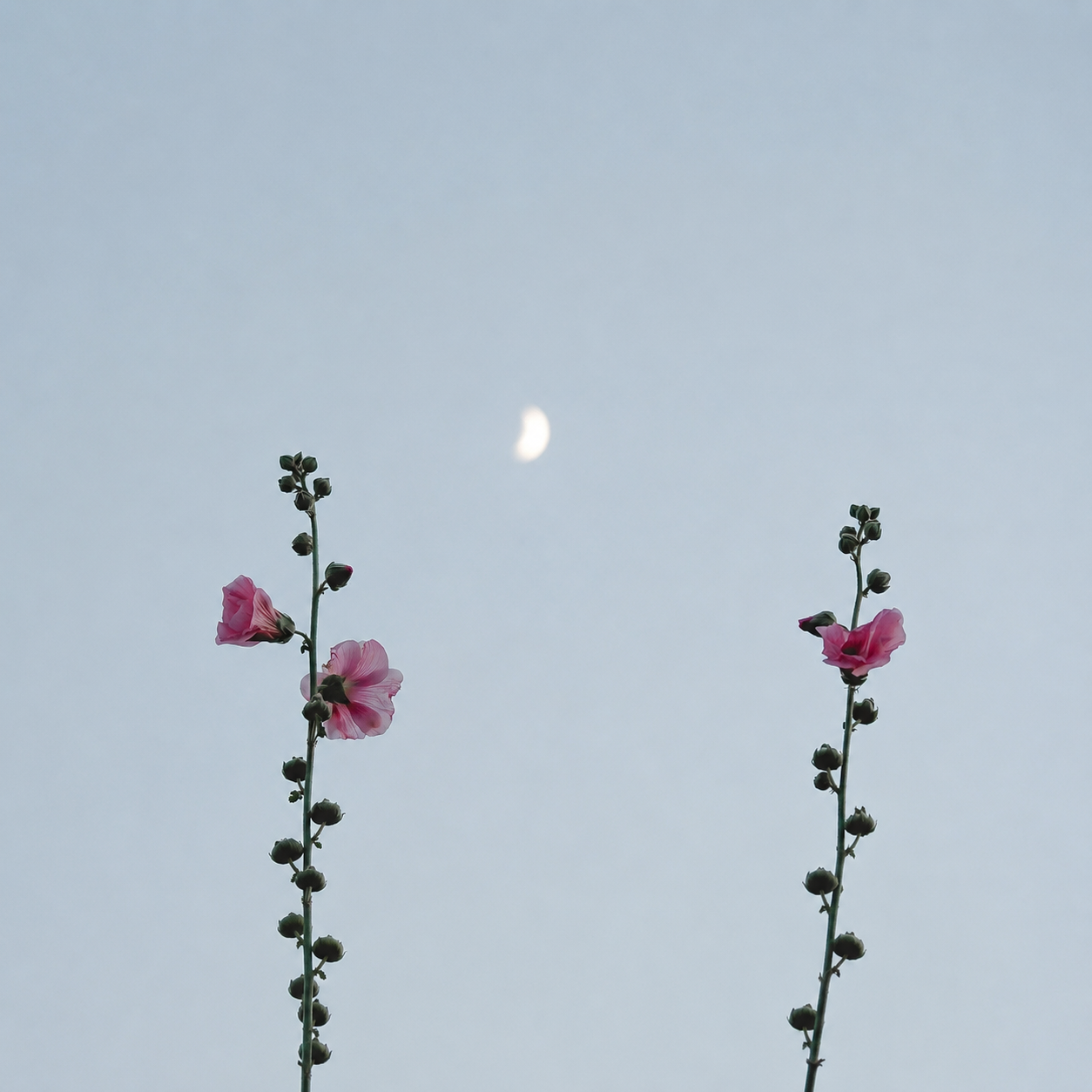Naturopathie
